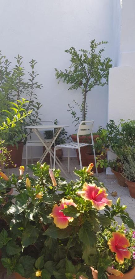 Casa Rural Los Danzantes Fuente-Tojar 외부 사진